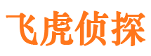 林甸侦探